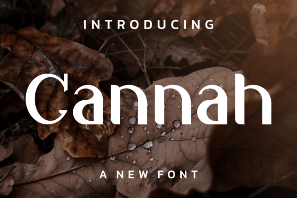 Cannah: The Modern and Natural Display Font for Crafters
